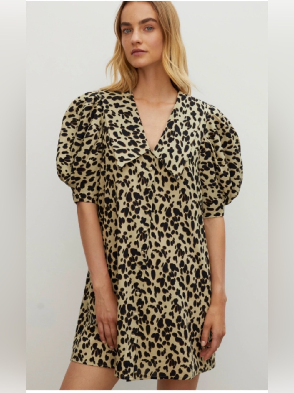 Róhe Emma Dress in Pebble or Leopard A-line dress Size 40 (EU)  Size 8 (US)